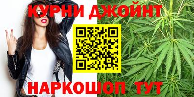 a pvp Белореченск