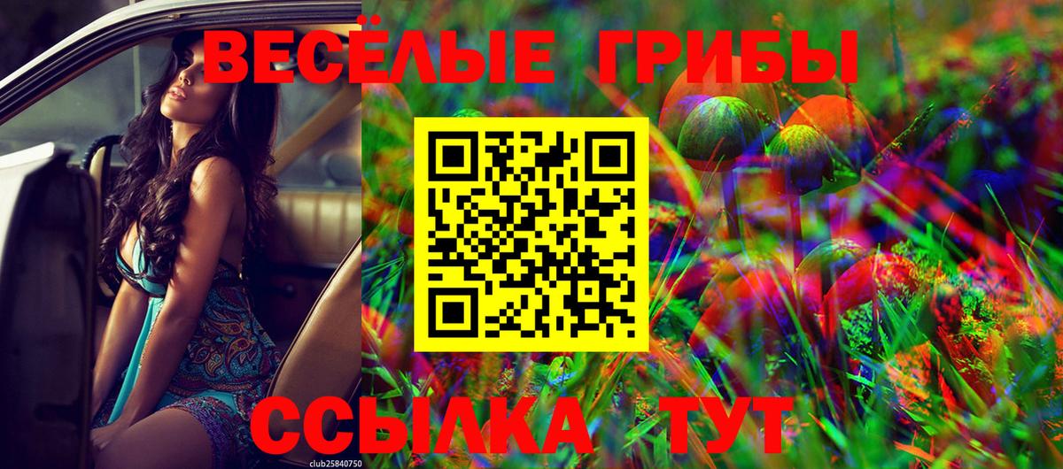 Ярцево  Псилоцибиновые грибы Magic Shrooms  Вход с VPN  Галлюциногенные грибы мицелий 